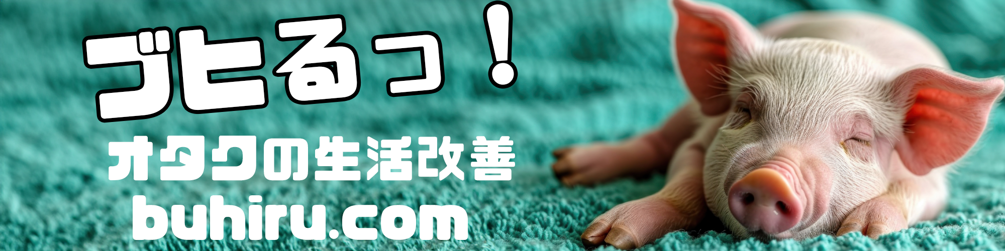 メインビジュアル